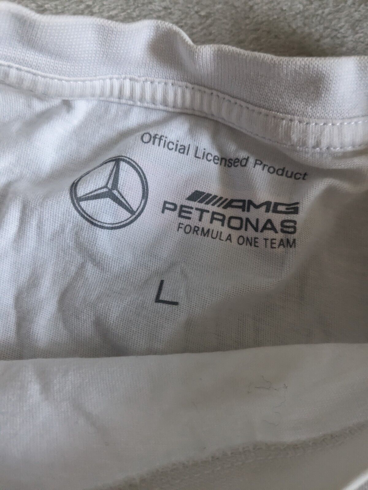 Lewis Hamilton Mercedes F1 – 7 World Champion – Large