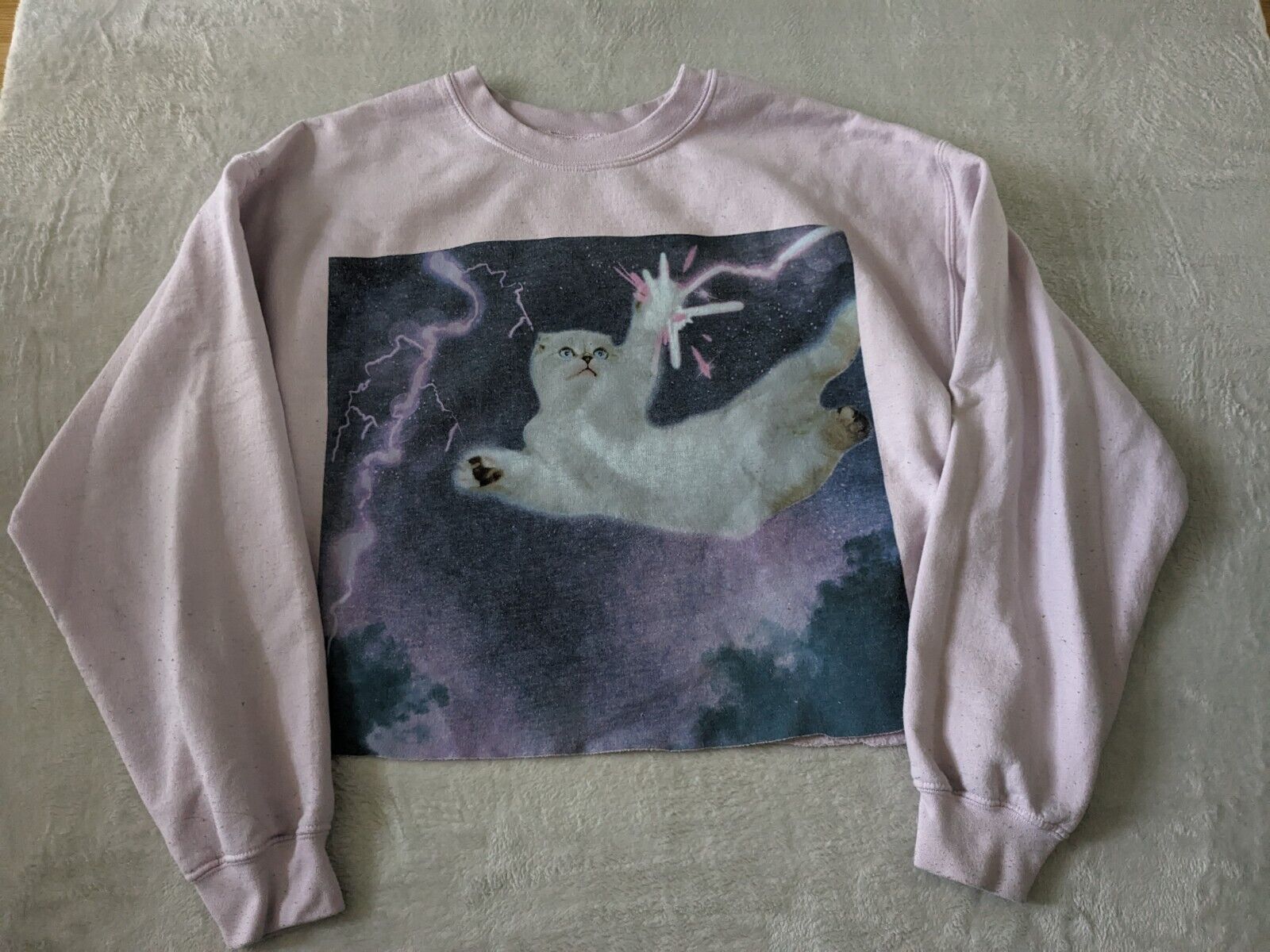 Taylor Swift – Olivia Cat Cropped Sweatshirt Pink Lightning Reputation – Large